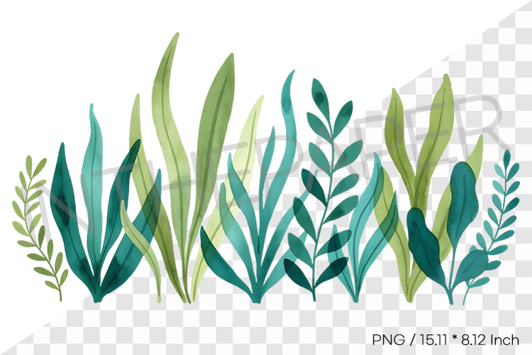 Plant Graphic Image 21