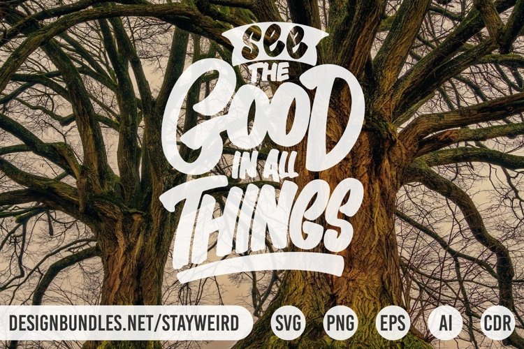 SEE THE GOOD IN ALL THINGS MOTIVATIONAL QUOTE
