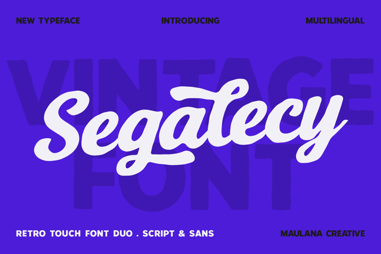 Segalecy Retro Vintage Font Duo Script Sans