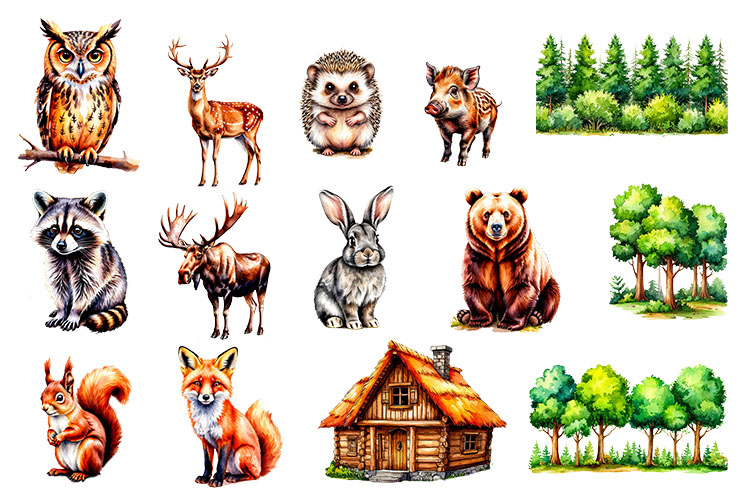 Fall Woodland animals , clipart, PNG, Animals,Fall, Woodland