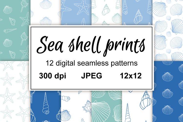 Sea Shell Clipart Image 14