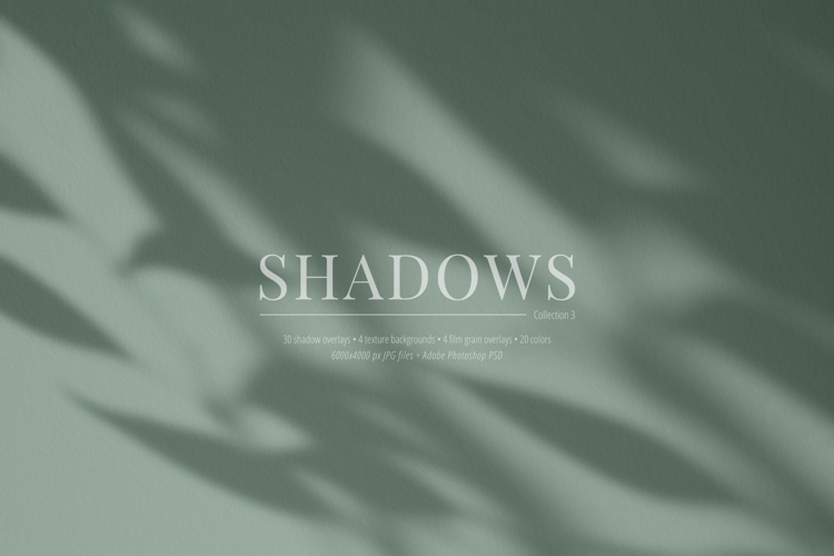 30 Shadow Overlays 03 Botanical Shadows Plants Branches