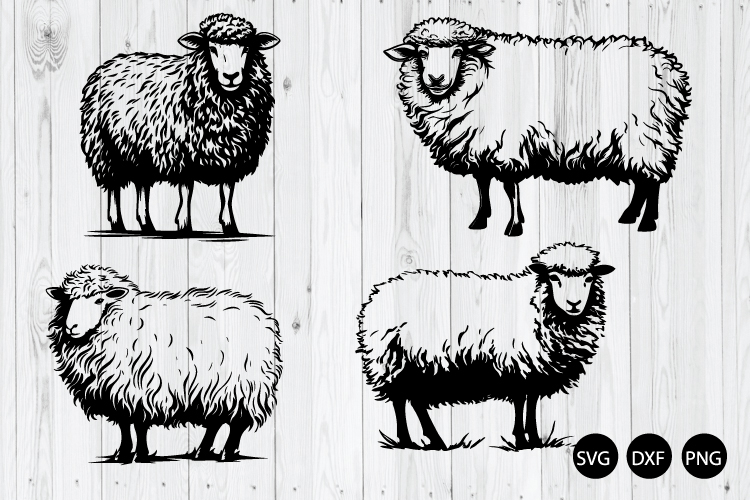 Sheep Png