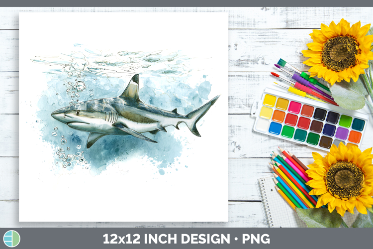 Blacktip Shark Sketch Paper Backgrounds Design