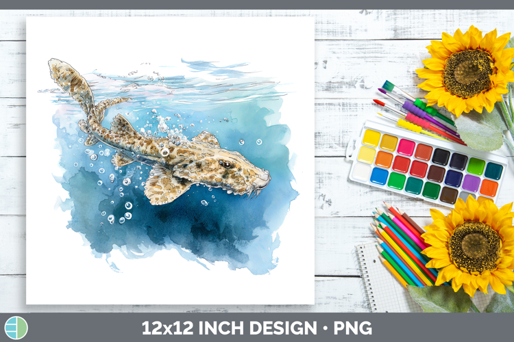 Wobbegong Shark Sketch Paper Backgrounds Design