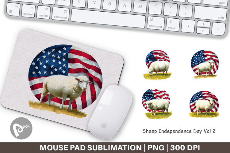 Mouse Png Image 16