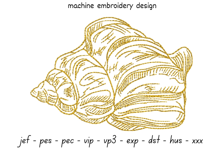 Shell sketch embroidery design 8 - Machine Embroidery Design