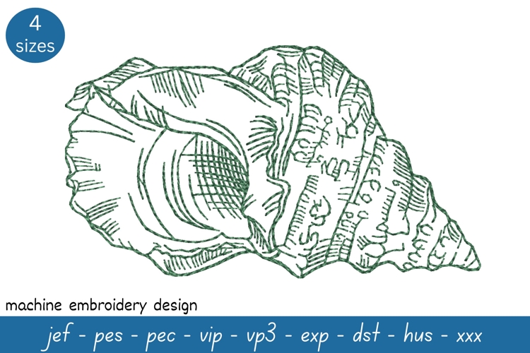 Shell sketch embroidery design 9 - Machine Embroidery Design