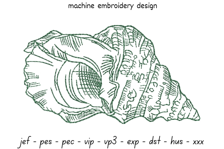 Shell sketch embroidery design 9 - Machine Embroidery Design