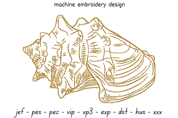 Shell sketch embroidery design 7 - Machine Embroidery Design
