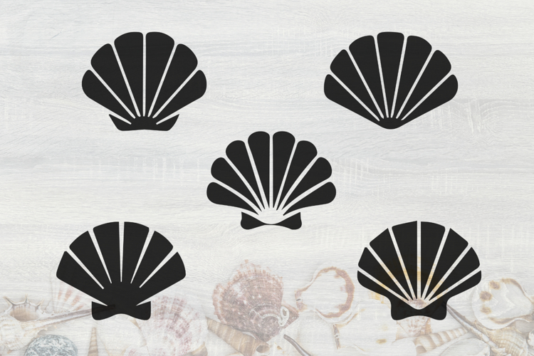 Sea Shells SVG