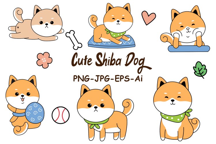 Cute Shiba Dog