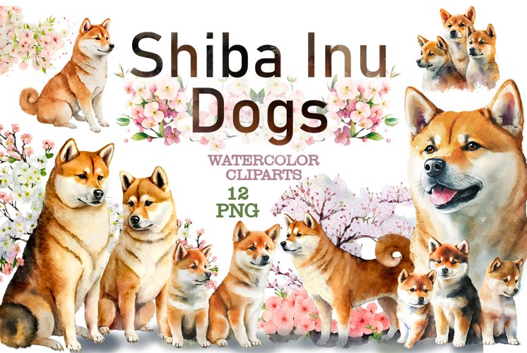 Sakura Png Image 11