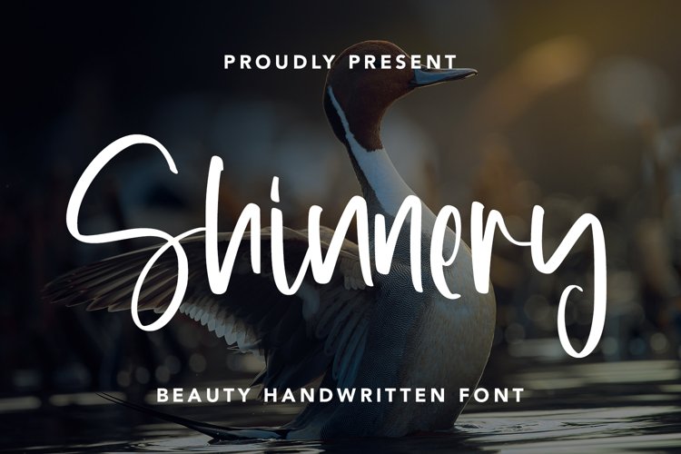 Shinnery - Beauty Handwritten Font example image 1