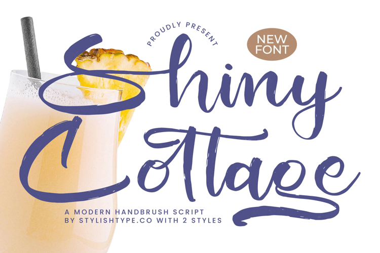 Shiny Cottage - Modern Handbrush Script