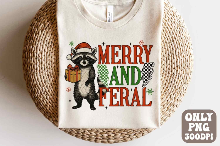 Funny Christmas Raccoon Png | Christmas Santa Raccoon Design