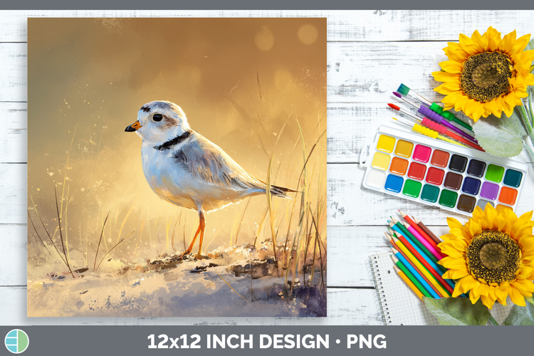 Sunset Background Image 12