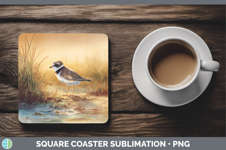 Semipalmated Plover Shorebirds Sunset Square Coaster Sublima