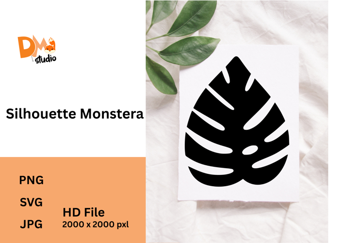 Monstera Clipart Image 13