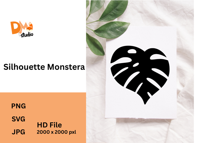 Monstera Clipart Image 5
