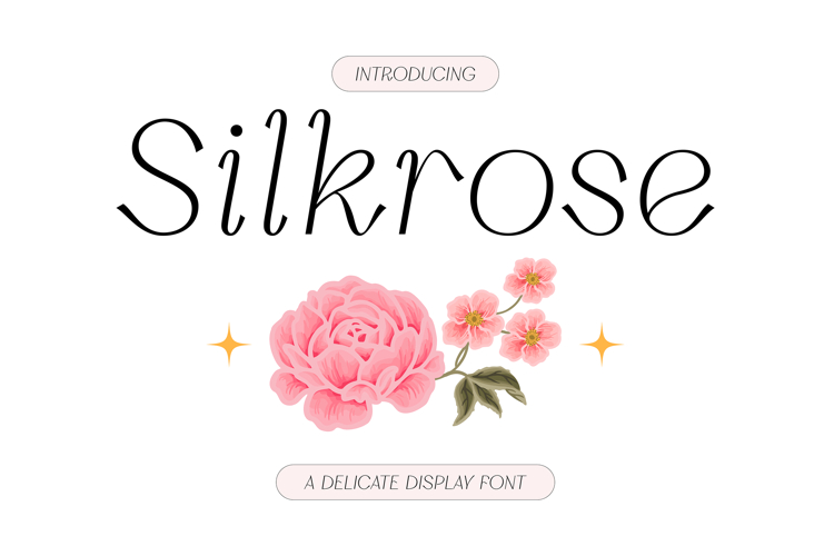 Silkrose - Delicate & Feminine Display Italic Font
