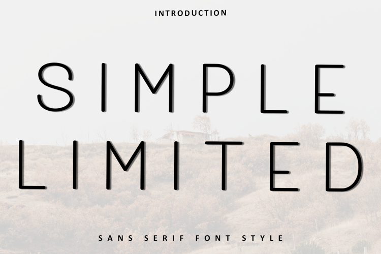 Simple Limited