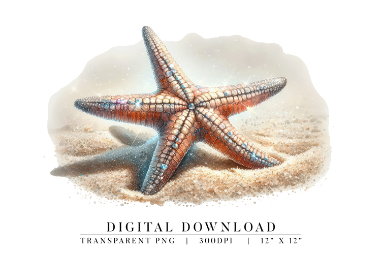 Starfish Clipart Image 16