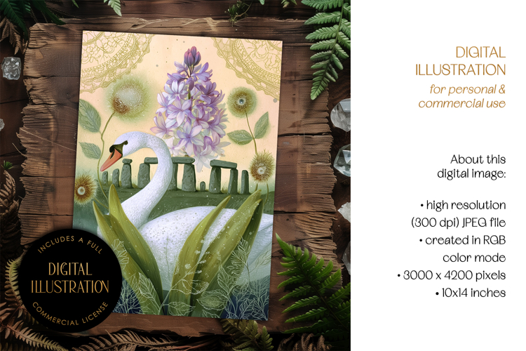 Swan & Hyacinth at Stonehenge Illustration