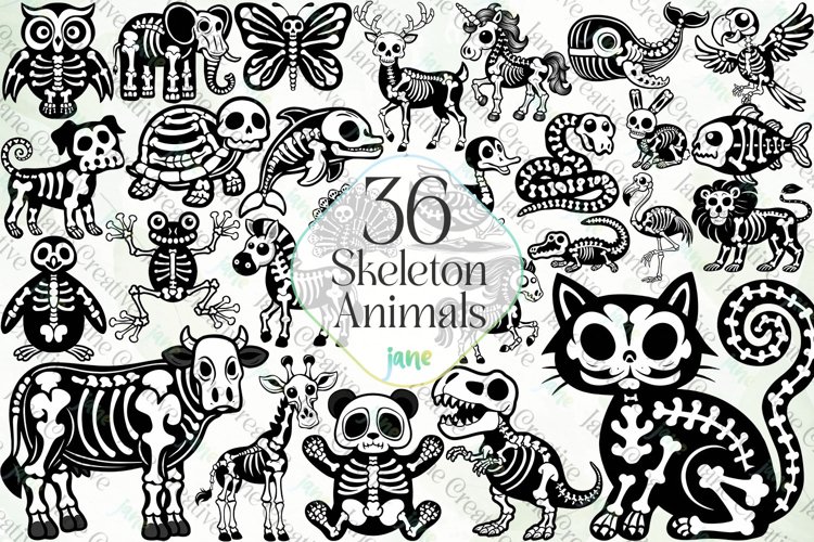 Skeleton Clipart