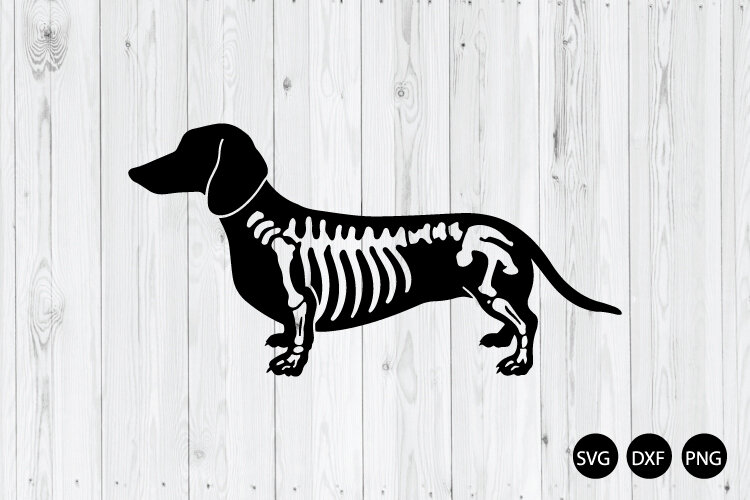 Dachshund Skeleton SVG, Spooky Dog SVG, Dachshund SVG example image 1