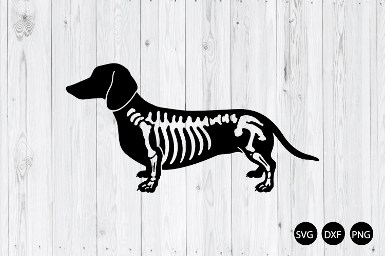 Dachshund Skeleton SVG, Spooky Dog SVG, Dachshund SVG