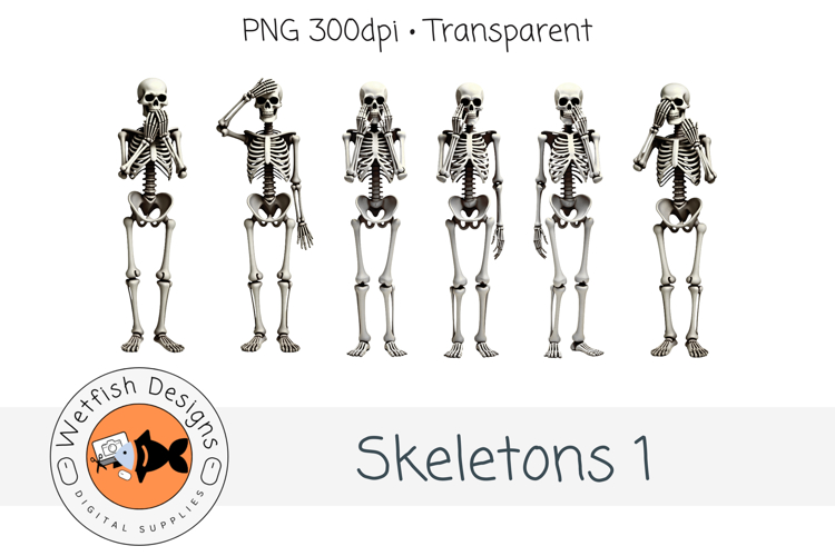 Skeltons 1