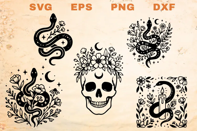 Skull and Snakes SVG