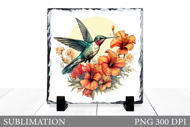 Hummingbird Sublimation. Hummingbird Slate Sublimation