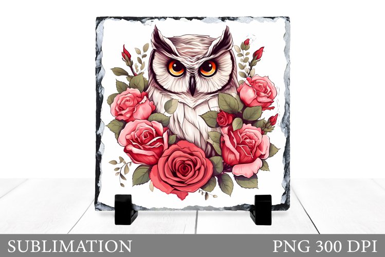 Owl Sublimation. Owl Slate Sublimation