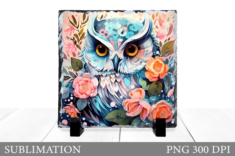 Owl Slate Sublimation. Summer Slate Sublimation example image 1