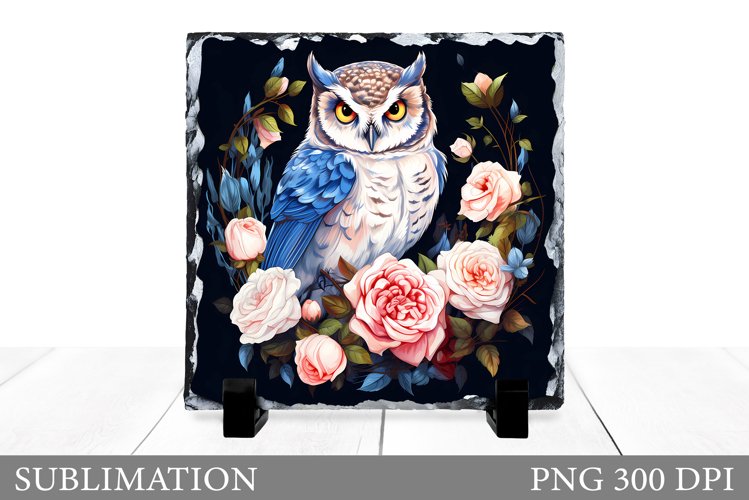 Owl Clipart Image 2