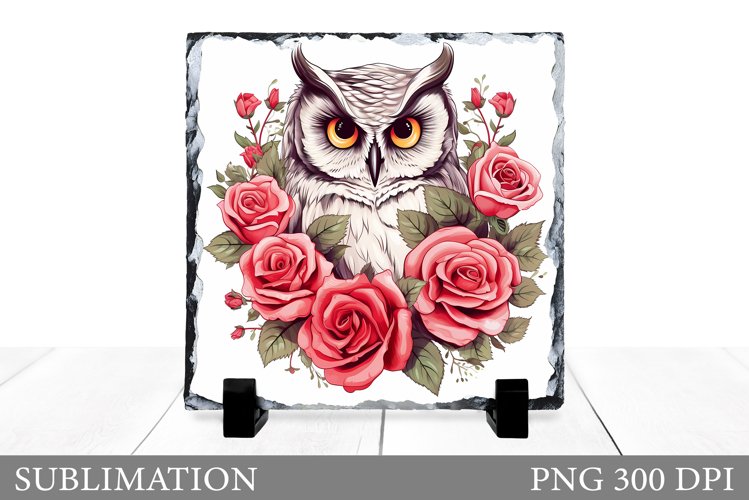 Owl Clipart