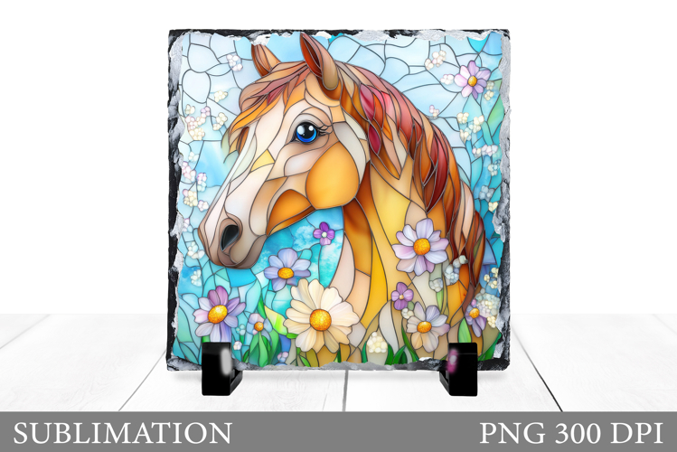 Cute Horse Pictures Image 18