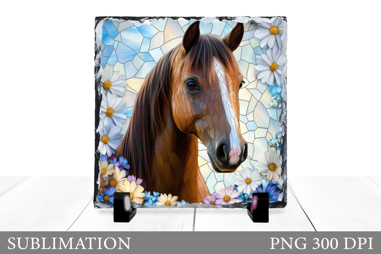 Cute Horse Pictures Image 17