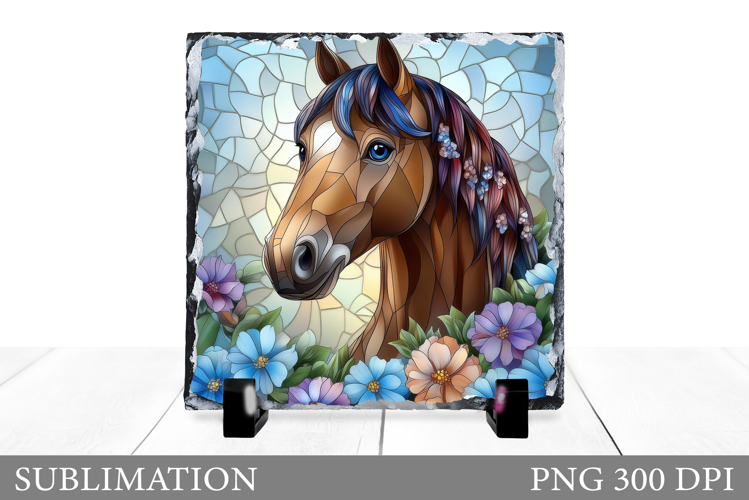 Cute Horse Pictures Image 16