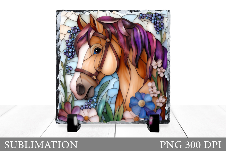 Cute Horse Pictures Image 14