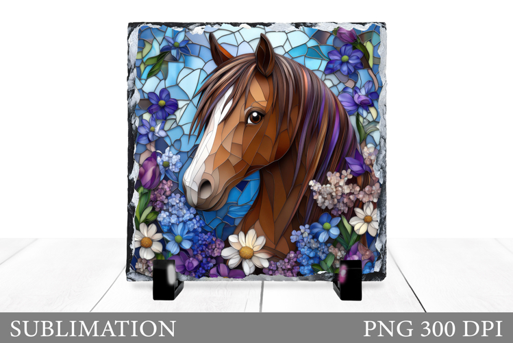 Cute Horse Pictures Image 11