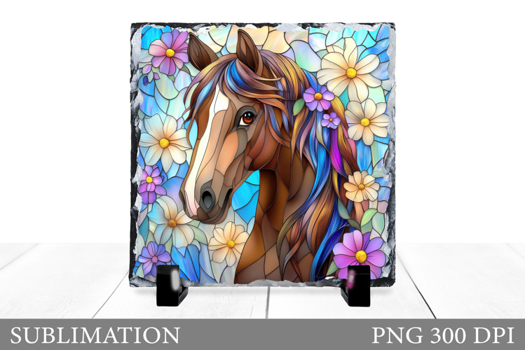 Cute Horse Pictures Image 15