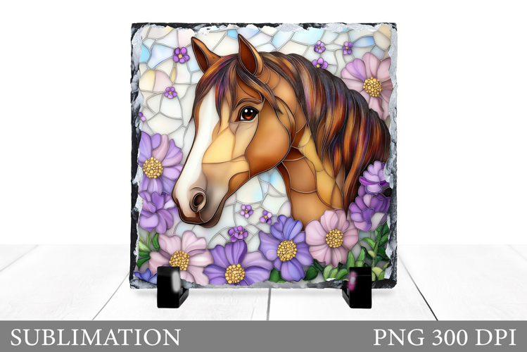 Cute Horse Pictures Image 12