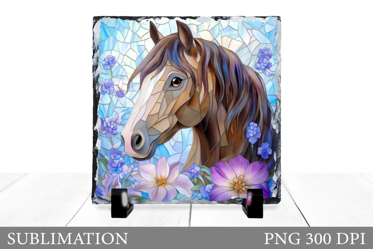 Cute Horse Pictures Image 10
