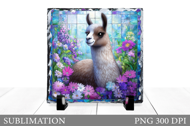 Cute Lama Sublimation. Lama Slate Sublimation
