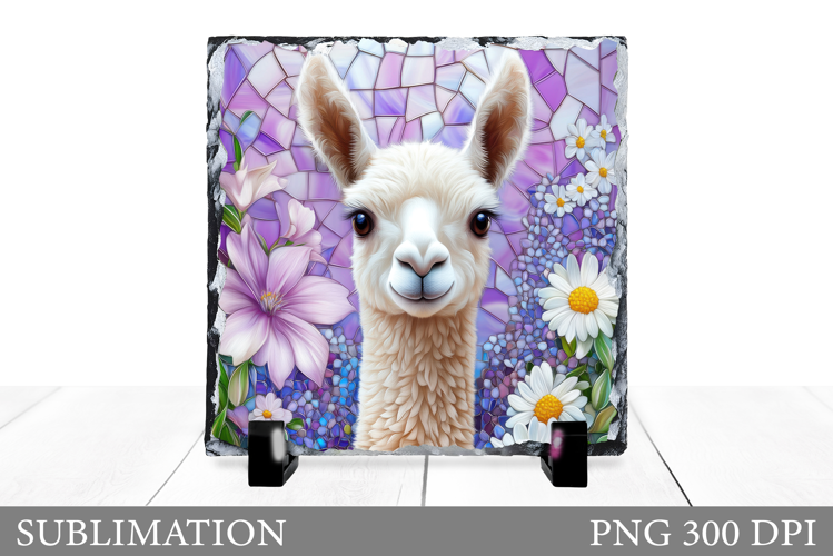 Cute Lama Sublimation. Lama Slate Sublimation
