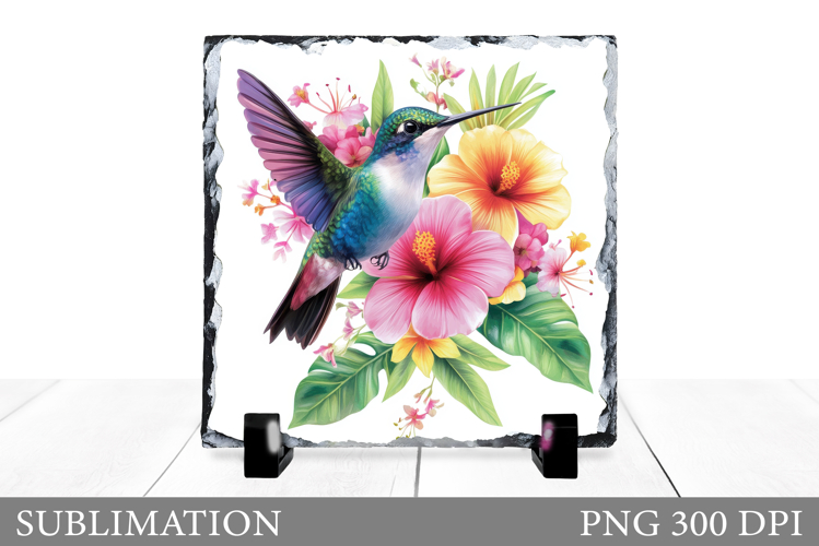 Hummingbird Clipart Image 17