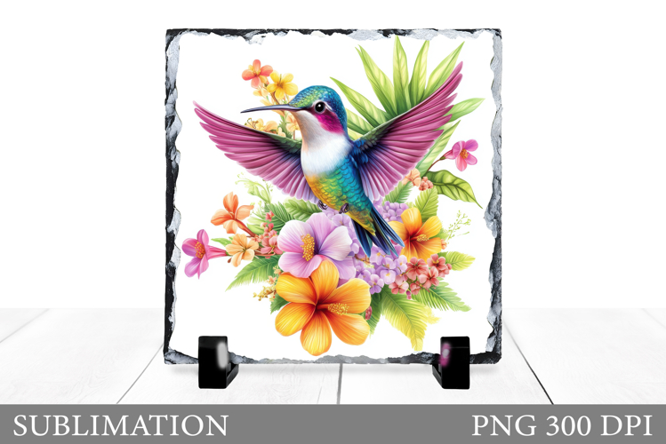 Hummingbird Clipart Image 20